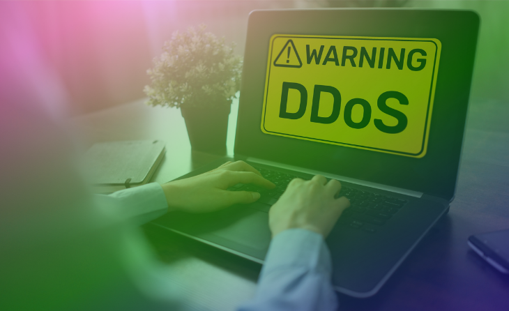 DDoS Protection: What is it and Why Does Your Business Need it? [Blog]